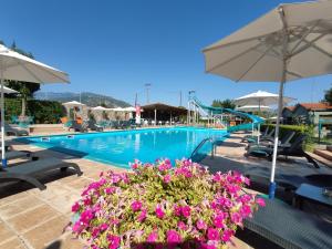 a swimming pool with purple flowers and a slide at Philoxenia in Kalabaka
