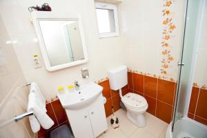 a bathroom with a toilet and a sink and a mirror at Pensiunea Silvia in Baile Felix +18 photos