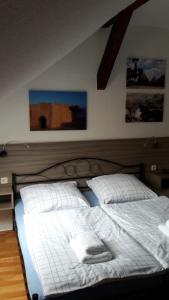 a bedroom with two beds in a room at Pension Zentrum Riesa in Riesa