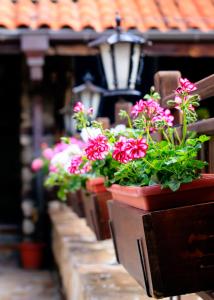 a row of potted flowers on a wall at Hotel Tanne in Bansko