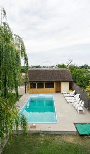 a swimming pool in a yard with chairs and a building at Califarul Alb in Chilia Veche +31 photos