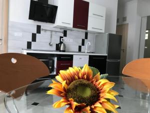 布達佩斯的住宿－Sunflowers Apartman，坐在厨房玻璃桌上的向日葵