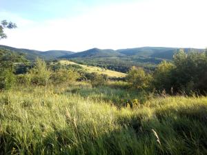 Füveskert في إردوبني: حقل من العشب مع الجبال في الخلفية