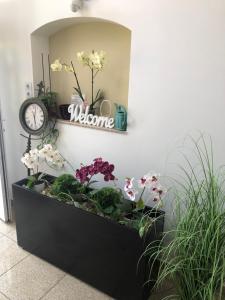 Fotografie z fotogalerie ubytování Mosoly Apartman v destinaci Szeged