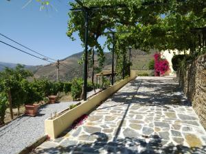 a walkway leading up to a house with a view at Quinta da Galeira in Pinhão