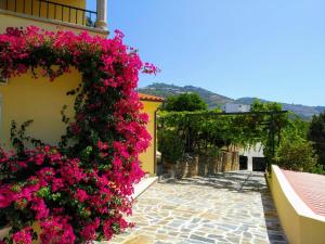 Afbeelding uit fotogalerij van Quinta da Galeira in Pinhão