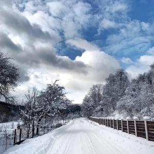a snow covered road with a fence and trees at Урочище Rafnivskyi in Lyuta