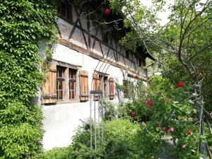 Vonkajšia záhrada v ubytovaní Jugendherberge Feldkirch