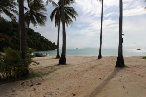 Landskap semula jadi dekat dengan resort