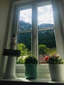 a window with two potted plants and a lighthouse at Alpenaquarium Grüblsee - FEWO Elfi in Vordernberg