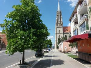 a tree on the side of a street with a church at Stan na dan DUNJA 2 in Vršac