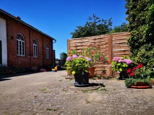three pots of flowers in front of a building at Landidylle Mertensdorf - Ferienwohnung in Triglitz