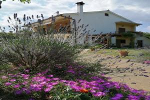 Gallery image of APARTMENT NORINA in Grožnjan +22 photos