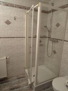 een douche met een glazen deur in de badkamer bij Prinz-Friedrich-August Baude in Sohland