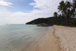 Landskap semula jadi dekat dengan resort