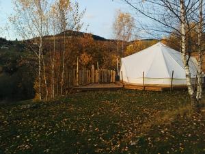 a white tent in a field with a fence at Silver Trees - Glamping in Fresse-sur-Moselle