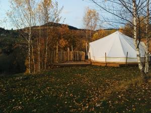 Příroda nedaleko luxury tent