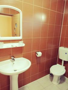 a bathroom with a sink and a toilet and a mirror at Cazare tudor&abril in Cojocna