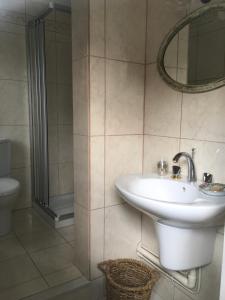 een badkamer met een wastafel en een douche bij L'Atelier de Tess in Le Bec-Hellouin