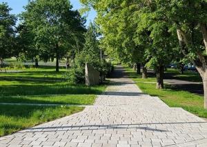 Zahrada ubytování Ferienwohnung An der Dorfmauer