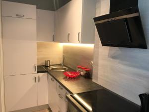 Kuchyňa alebo kuchynka v ubytovaní Apartament Lucky
