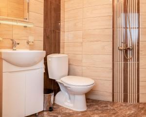 a bathroom with a toilet and a sink at Villa Samodiva in Yagodina +40 photos