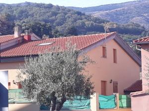 Γενική θέα στο βουνό ή θέα στο βουνό από  αυτή η παραθεριστική κατοικία