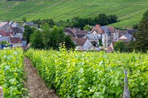 Hôtel Restaurant Famille Bourgeois "La Cote des Monts Damnés"