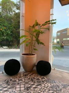 Zahrada ubytování Hotel Muyu Tulum