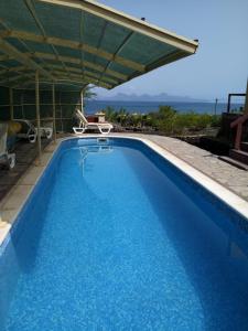 a large blue swimming pool with an umbrella at Chambre indépendante in Porto Novo