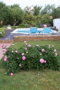 Pusignan的住宿－B&B Insolite entre Lyon et aéroport，一座带游泳池的院子中,一束粉红色的鲜花