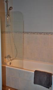 a shower in a bathroom with a bath tub at Auberge du Pont d'Ouche in Thorey-sur-Ouche