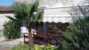 Zahrada ubytování Apartment Bataja