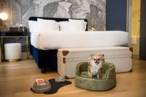 
a dog laying in a bed next to a lamp at Elizabeth Unique Hotel | a Member of Design Hotels™ in Rome
