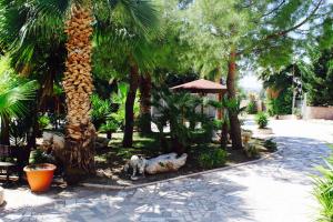 a palm tree in a park with some statues at Balconata 2.0 Banqueting & Accommodations in Lucera