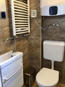 a bathroom with a toilet and a sink at Gulya Vendégház in Zalalövő