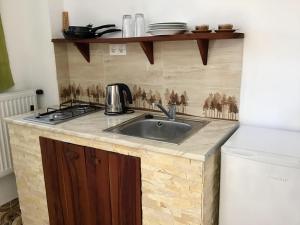 A cozinha ou cozinha compacta de Gulya Vendégház