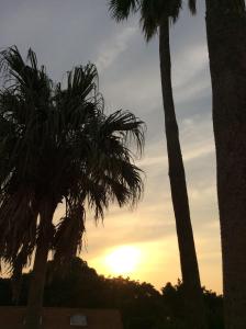 a sunset between two palm trees with the sun setting at Nagasaki Chapel Coconuts Hotel ＆Resort in Isahaya