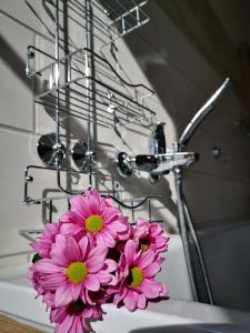 a bunch of pink flowers in a metal basket at Landidylle Mertensdorf - Ferienwohnung in Triglitz