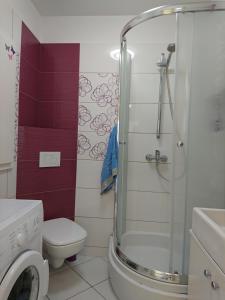 a bathroom with a shower and a toilet and a sink at Apartament BRYZA in Darłowo