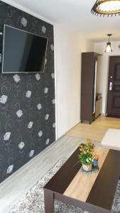 TV a/nebo společenská místnost v ubytování Apartament Razvan