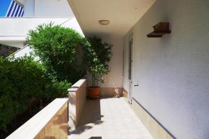 Φωτογραφία από το άλμπουμ του Casa Lucrezia - casa vacanza Torre Canne σε Torre Canne +9 φωτογραφίες