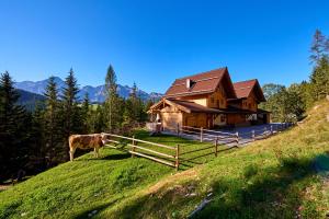 a cow standing on a hill in front of a house at Chalets Almidylle in Sankt Martin am Tennengebirge