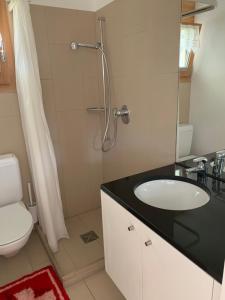 ein Bad mit einer Dusche, einem Waschbecken und einem WC in der Unterkunft Ustria / Pensiun Trutg in Vella