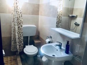 a bathroom with a sink and a toilet and a mirror at Vila Alexia in Corbu +23 photos