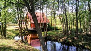 a house with a red roof in the middle of a forest at Domek Łukaszówka in Jonkowo