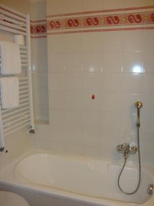 a bathroom with a bath tub with a shower at Hotel Miramonti in Bagno di Romagna