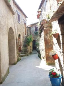 um beco com edifícios de pedra e vasos de plantas em LA BICO' em Pitigliano