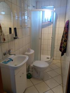 ein Bad mit einem WC, einem Waschbecken und einer Dusche in der Unterkunft Cichy Zakątek Junoszyno in Junoszyno
