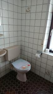 a bathroom with a toilet and a sink at Kaufhaus Feldberg in Rinken